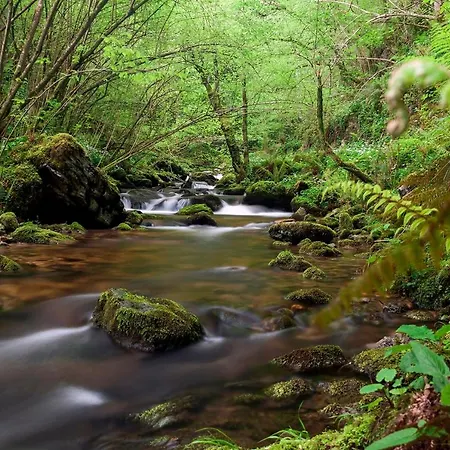 Rurales El Capricho De Carrio Pola de Laviana