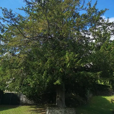 Rurales El Capricho De Carrio Pola de Laviana