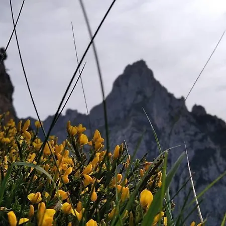 Rurales El Capricho De Carrio *