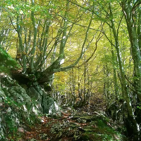 Rurales El Capricho De Carrio Pola de Laviana