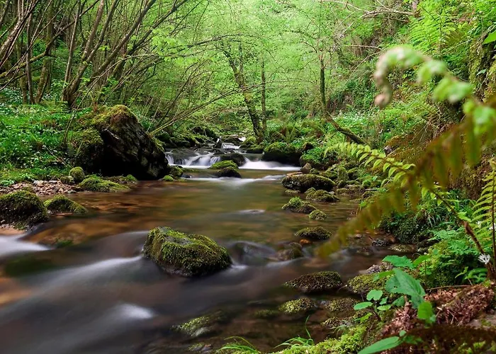 Rurales El Capricho De Carrio Pola de Laviana
