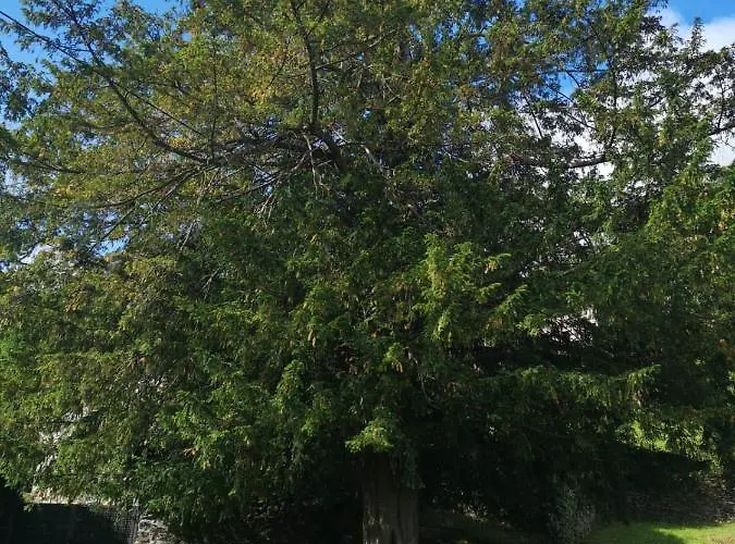 Rurales El Capricho De Carrio Pola de Laviana