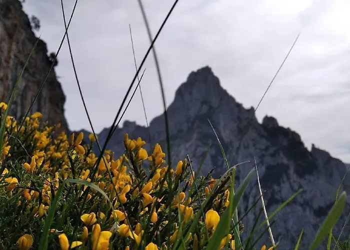 Rurales El Capricho De Carrio *